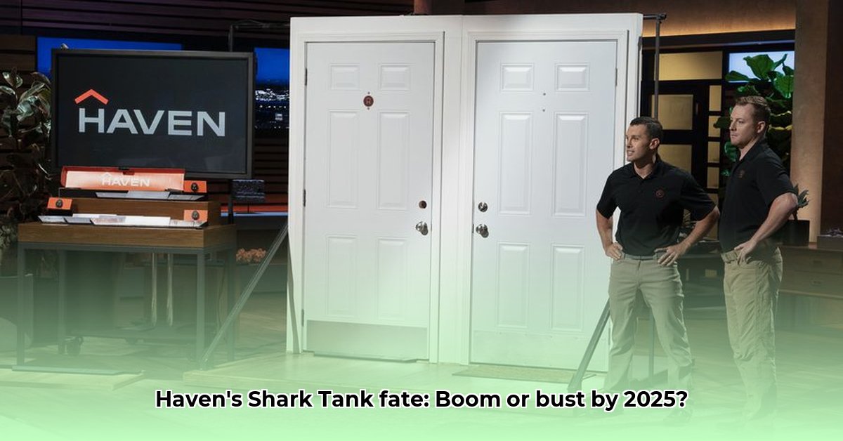 haven-shark-tank-net-worth